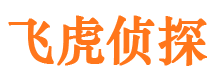 夏河市婚姻调查